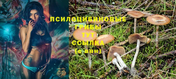 прущая мука Баксан