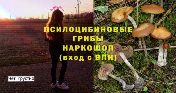 2c-b Балахна