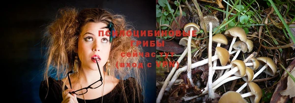 2c-b Балахна